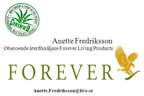 Forever - Anette Fredriksson