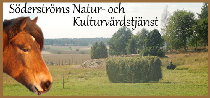 Söderströms Natur- och Kulturvårdstjänst.se
